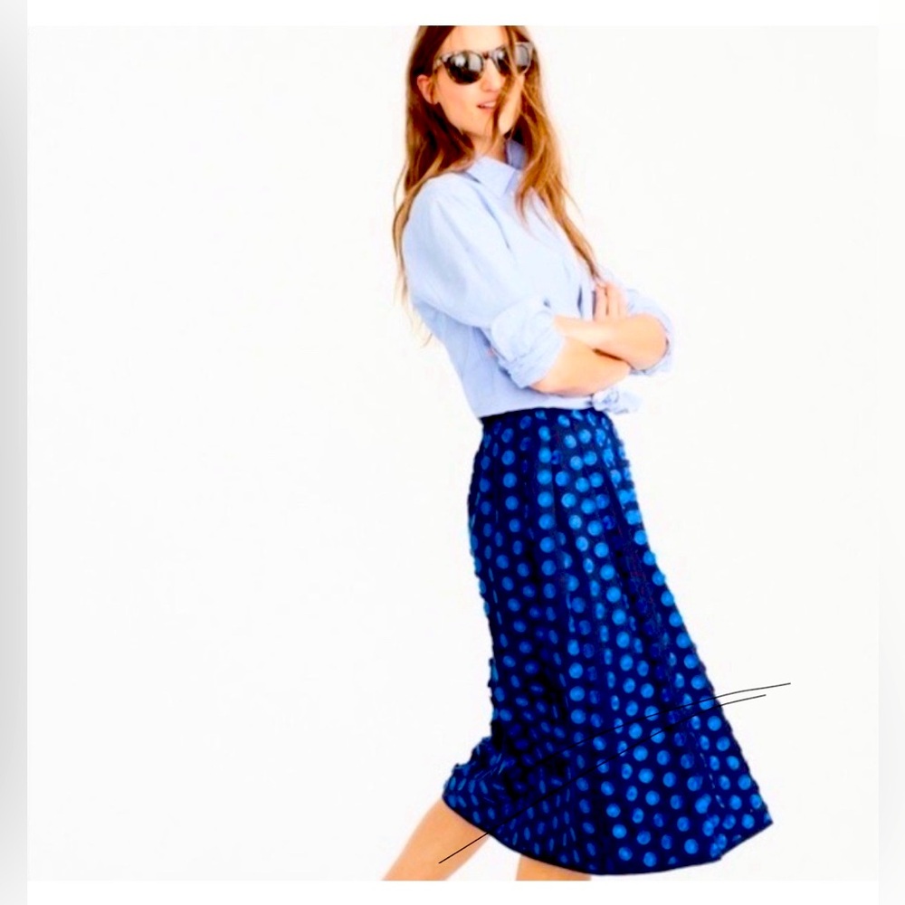 Beautiful Jcrew midi skirt with appliqué.
